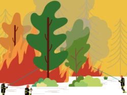 Alerte préfectorale : feux de végétation