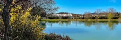 Plan d'eau de Monnaie en été