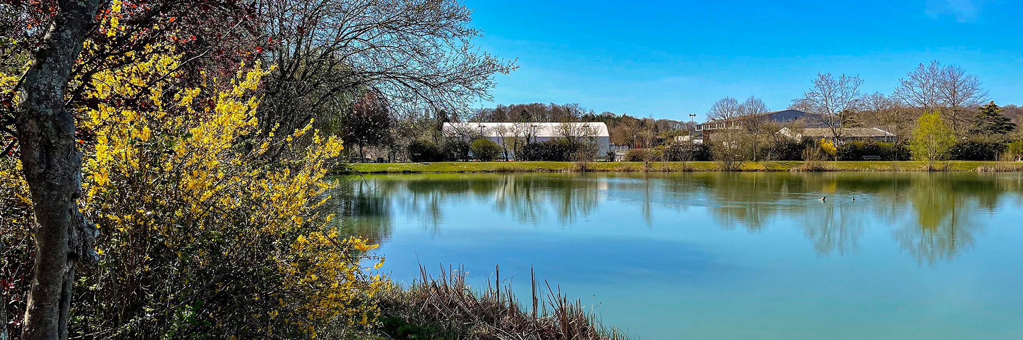 Plan d'eau de Monnaie en été