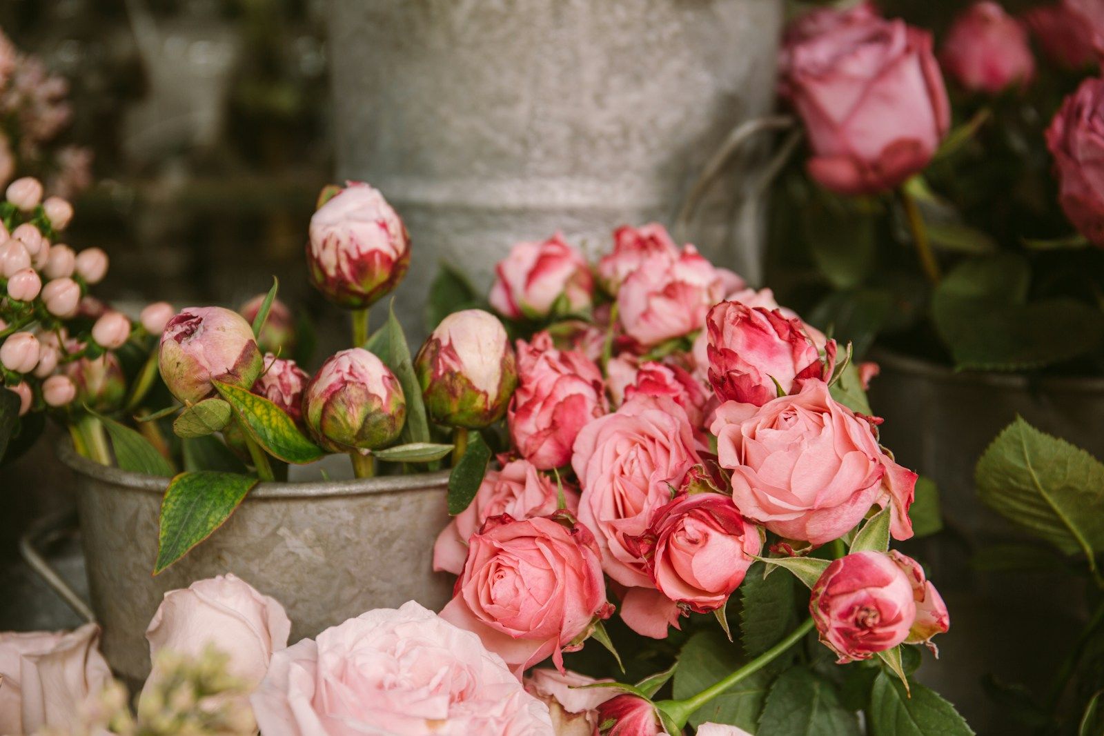 Roses sur une tombe en granit
