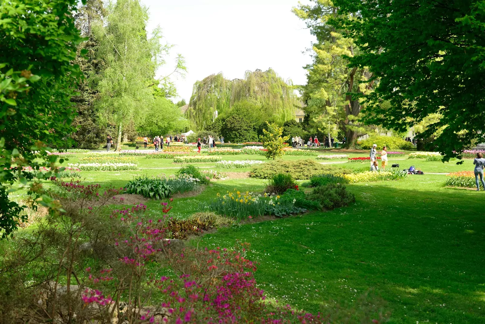 a large green park with people walking around
